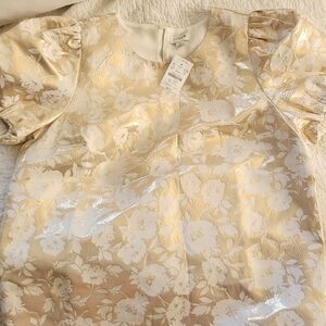 J. Crew Puff-Sleeve Top